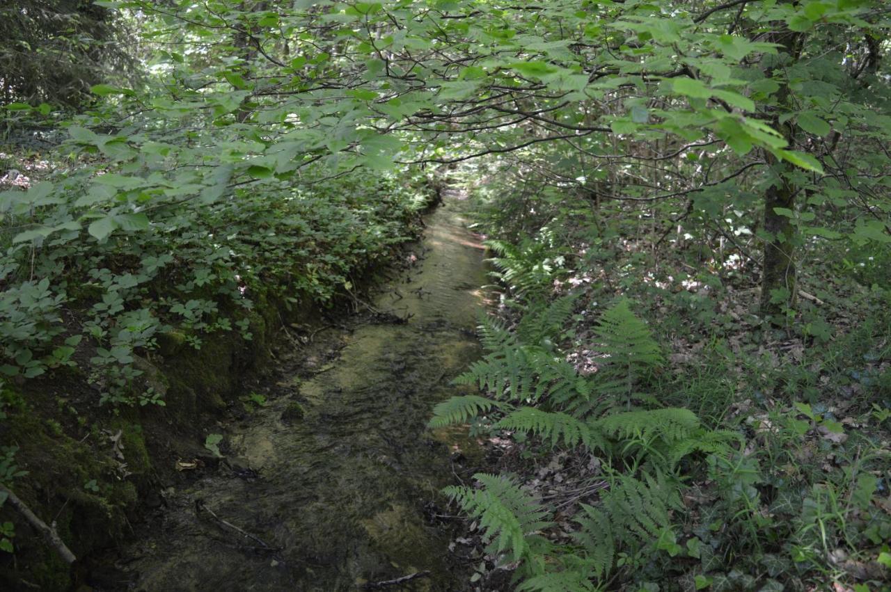 Le Moulin De Chatillon Saint-Leger エクステリア 写真