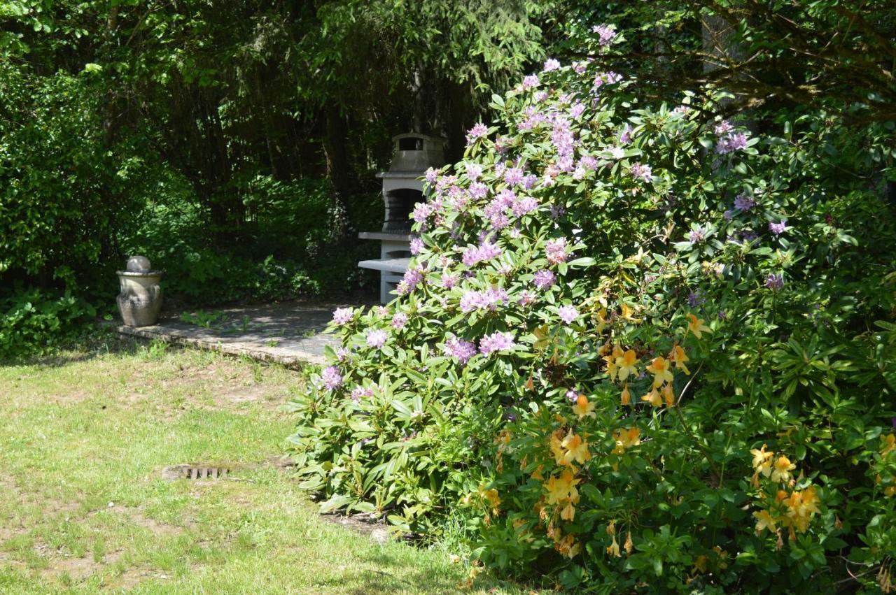 Le Moulin De Chatillon Saint-Leger エクステリア 写真